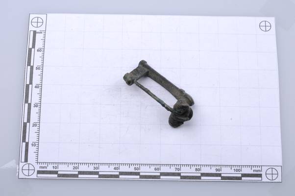 Abbildung von Kniefibel